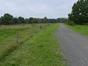 Binnendünen Nordoe (2)