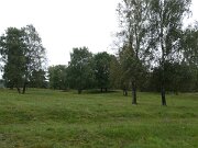 Binnendünen Nordoe (3)