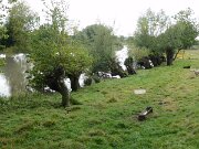 Fähre Kronsnest (03)