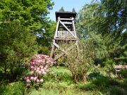 Ahrensburg - Friedhof Ahrensburg (003)