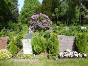 Ahrensburg - Friedhof Ahrensburg (006)