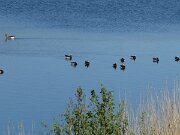 Astrup - Kildebjerg Sø (3)