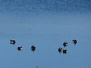 Astrup - Kildebjerg Sø (4)