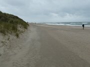 Agger Strand (1)