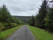 Gortin Glen Forest Park (2)