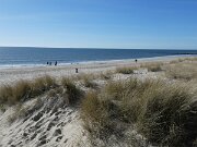 Blåvand - Hvidbjerg Strand (2)