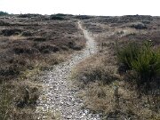 Blåvand - Mindelund for 6 danske frihedskæmpere (1)