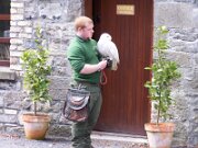 Belvedere House Gardens and Park (8)