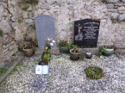 Bannow Church & Bullaun Stone (2)