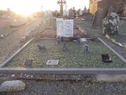 Bannow Church & Bullaun Stone (6)